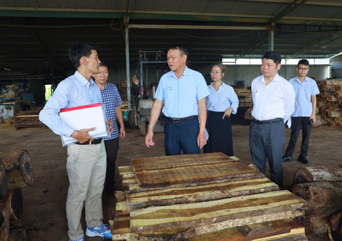 Đắk Lắk rà soát toàn diện, tháo gỡ vướng mắc thúc đẩy Cụm công nghiệp M’Drắk phát triển