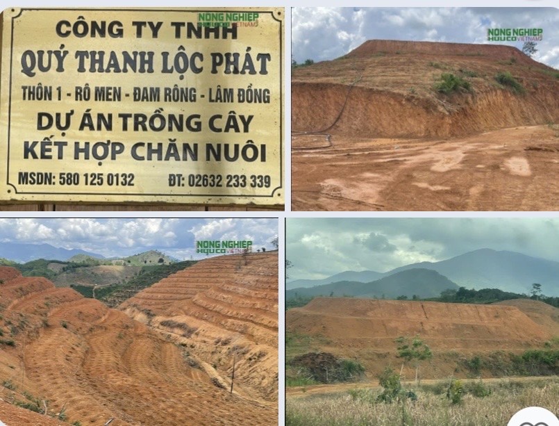 Phê bình 5 chủ rừng để xảy ra các vụ vi phạm Luật Lâm nghiệp nổi cộm