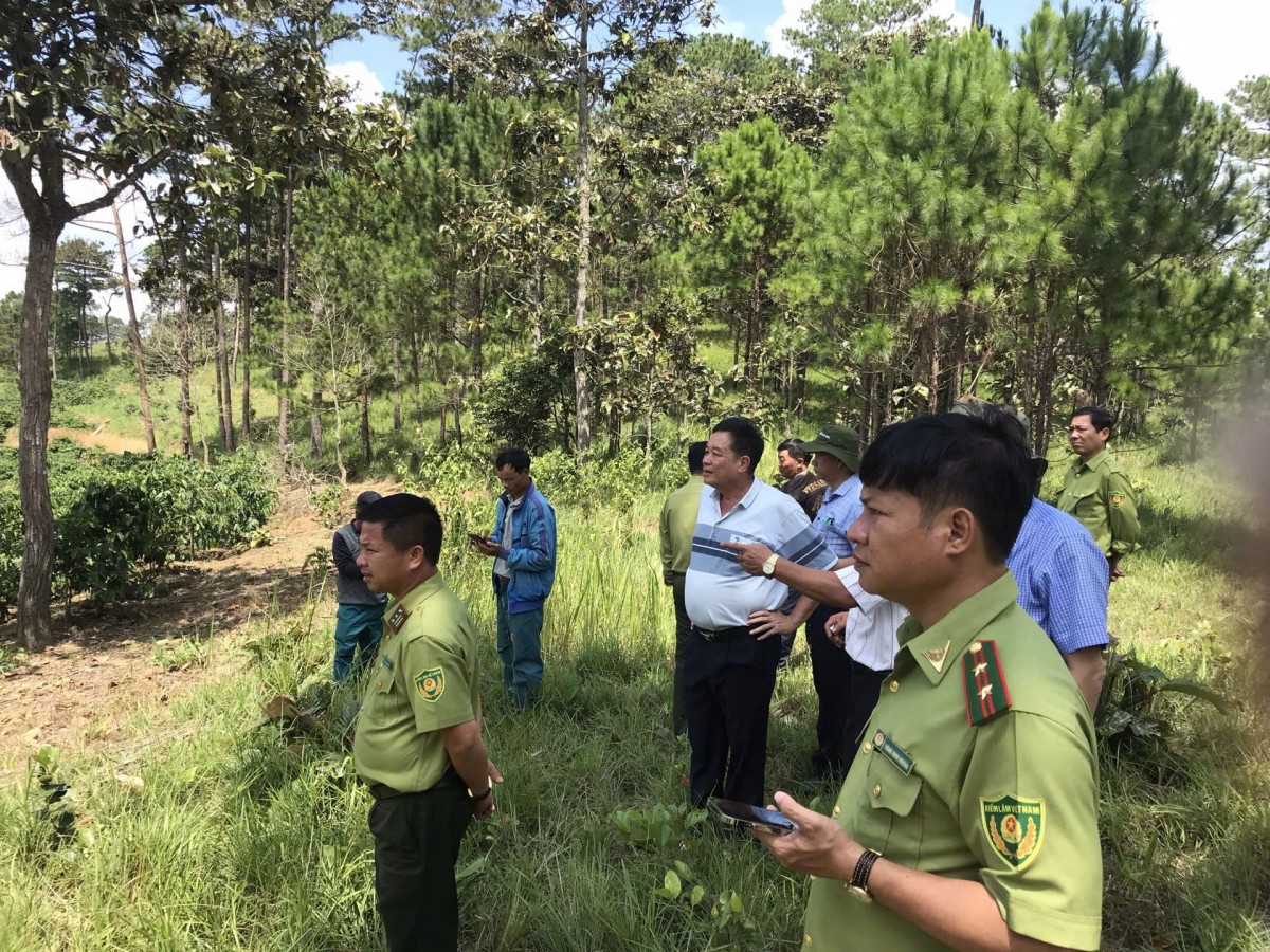 Lâm Đồng: Xã Quảng Tân kiểm tra, xác minh các trường hợp lấn chiếm đất đai tại một số Tiểu khu