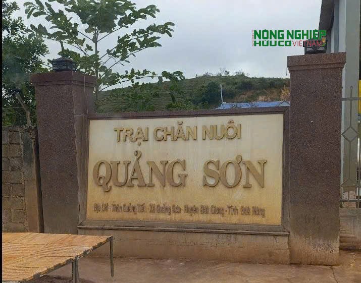Siết chặt công tác quản lý và bảo vệ môi trường trong lĩnh vực chăn nuôi
