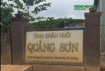 Siết chặt công tác quản lý và bảo vệ môi trường trong lĩnh vực chăn nuôi