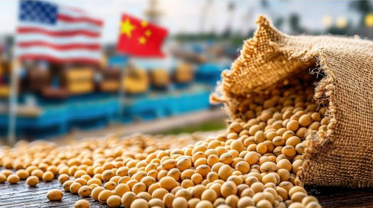 Trung Quốc tăng tốc mua nông sản Hoa Kỳ trước thềm chuyến thăm của ông Tập Cận Bình