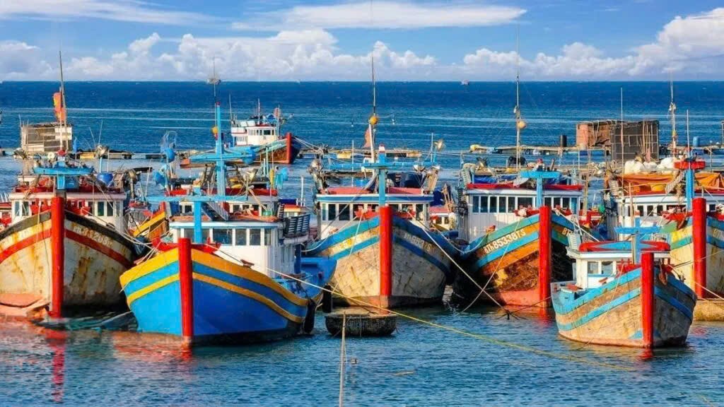 Đặc khu Phú Quý thành lập Tổ kiểm soát tàu cá, tăng cường chống khai thác IUU