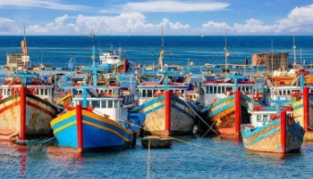 Đặc khu Phú Quý thành lập Tổ kiểm soát tàu cá, tăng cường chống khai thác IUU