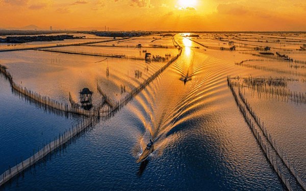 Kiến tạo chuỗi giá trị, mở hướng phát triển nông nghiệp xanh