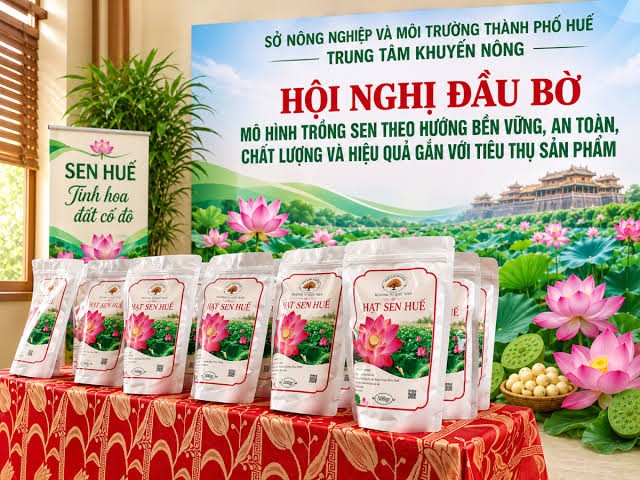 Kiến tạo chuỗi giá trị, mở hướng phát triển nông nghiệp xanh