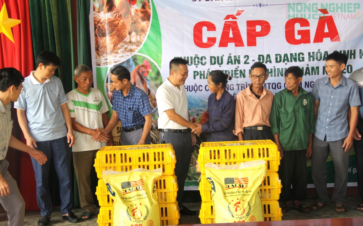 Xã Văn Hiến cấp phát gà giống cho hàng trăm hộ nghèo, cận nghèo, hỗ trợ sinh kế