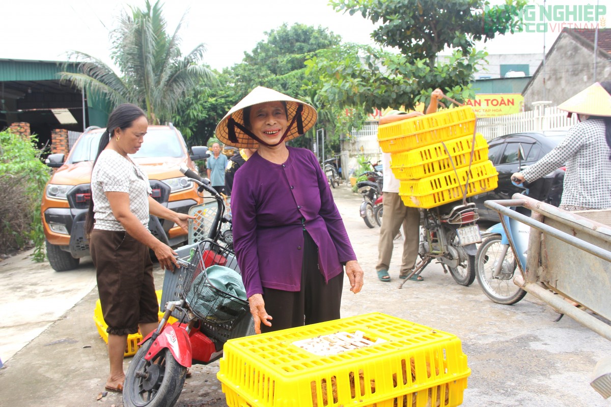 Xã Văn Hiến cấp phát gà giống cho hàng trăm hộ nghèo, cận nghèo, hỗ trợ sinh kế