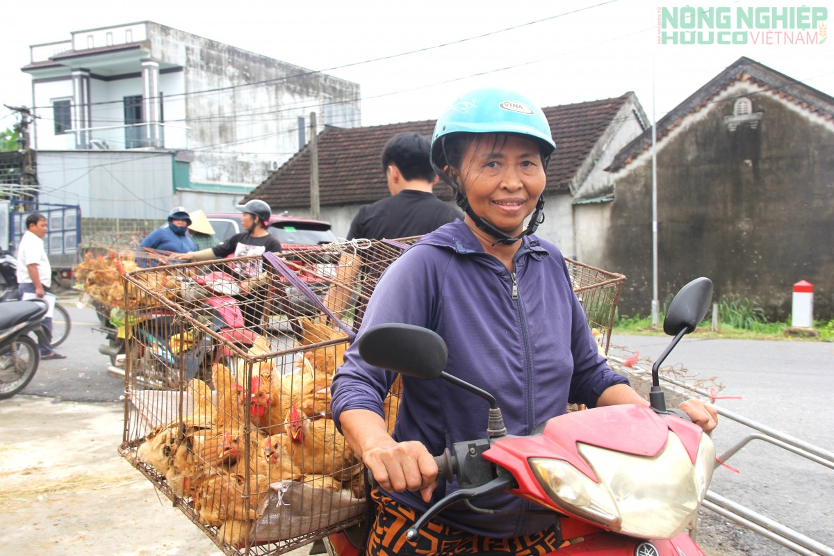 Xã Văn Hiến cấp phát gà giống cho hàng trăm hộ nghèo, cận nghèo, hỗ trợ sinh kế