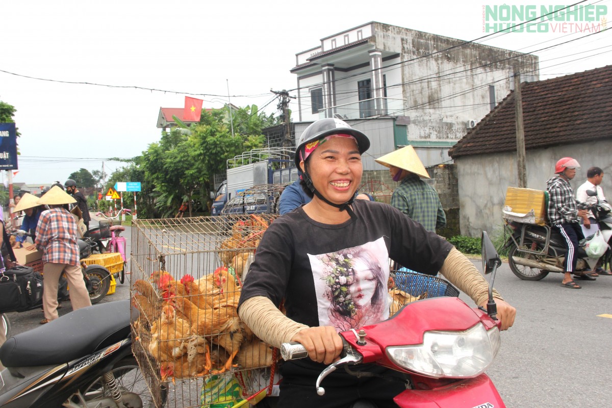 Xã Văn Hiến cấp phát gà giống cho hàng trăm hộ nghèo, cận nghèo, hỗ trợ sinh kế