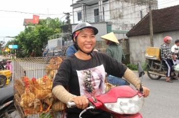 Xã Văn Hiến cấp phát gà giống cho hàng trăm hộ nghèo, cận nghèo hỗ trợ sinh kế