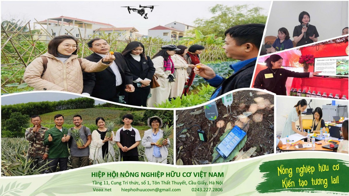 Vai trò của người trẻ trong hành trình phát triển nông nghiệp hữu cơ Việt Nam