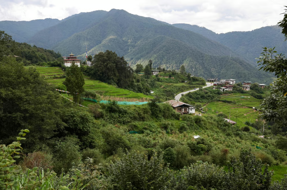 Bhutan đặt cược vào cây phỉ để tái định hình nông nghiệp miền núi
