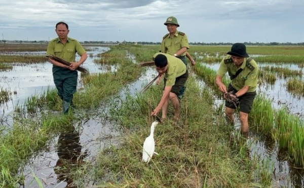 Kiểm lâm Huế đề nghị người dân chung tay bảo vệ chim trời, giữ gìn đa dạng sinh học