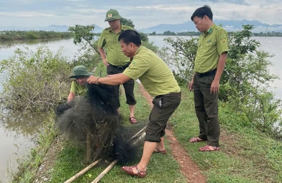 Kiểm lâm Huế đề nghị người dân chung tay bảo vệ chim trời, giữ gìn đa dạng sinh học