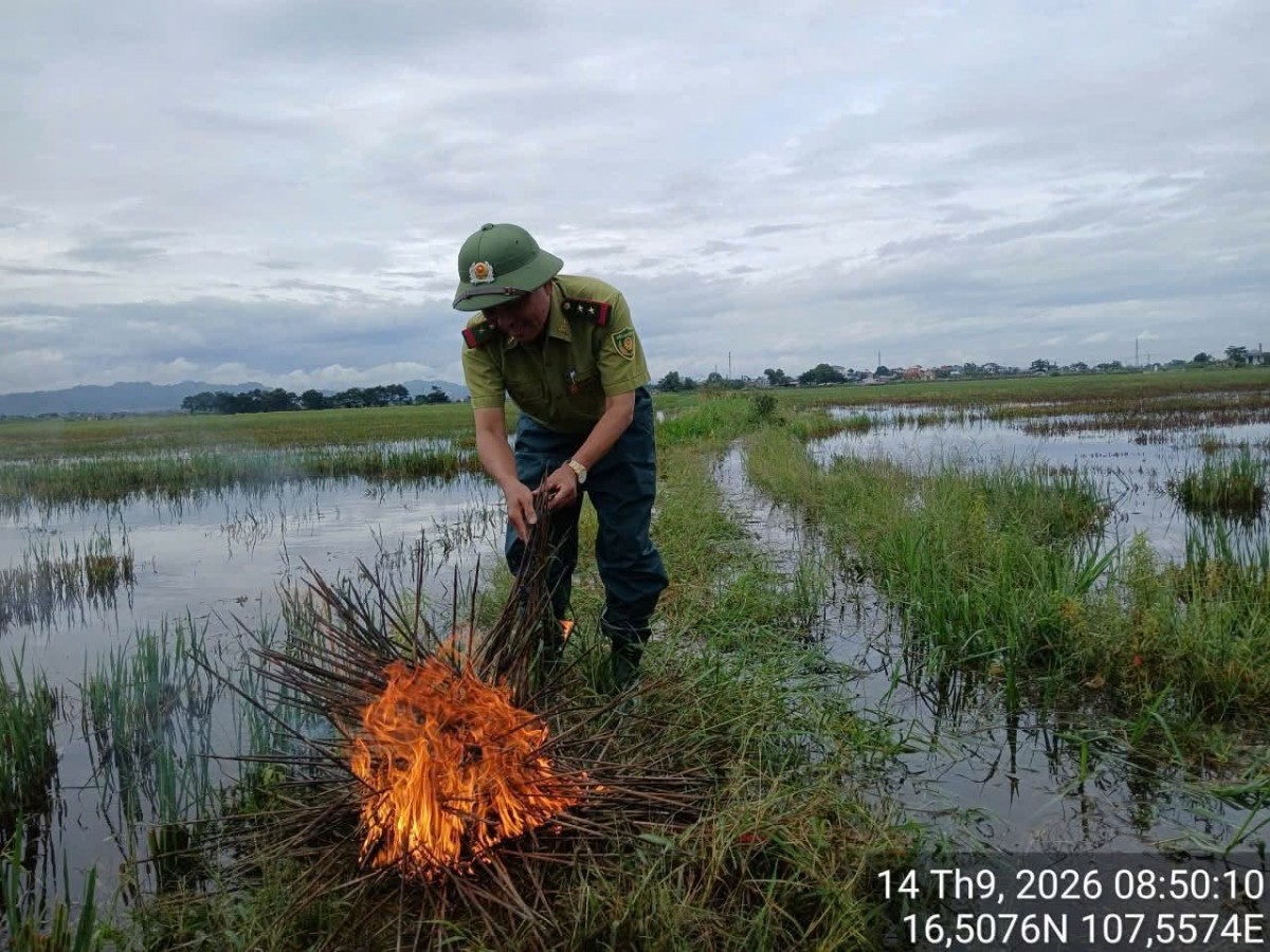 Kiểm lâm Huế đề nghị người dân chung tay bảo vệ chim trời, giữ gìn đa dạng sinh học