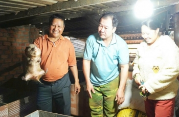 Mô hình nuôi Dúi mang lại hiệu quả kinh tế cao ở xã biên giới Quảng Trực