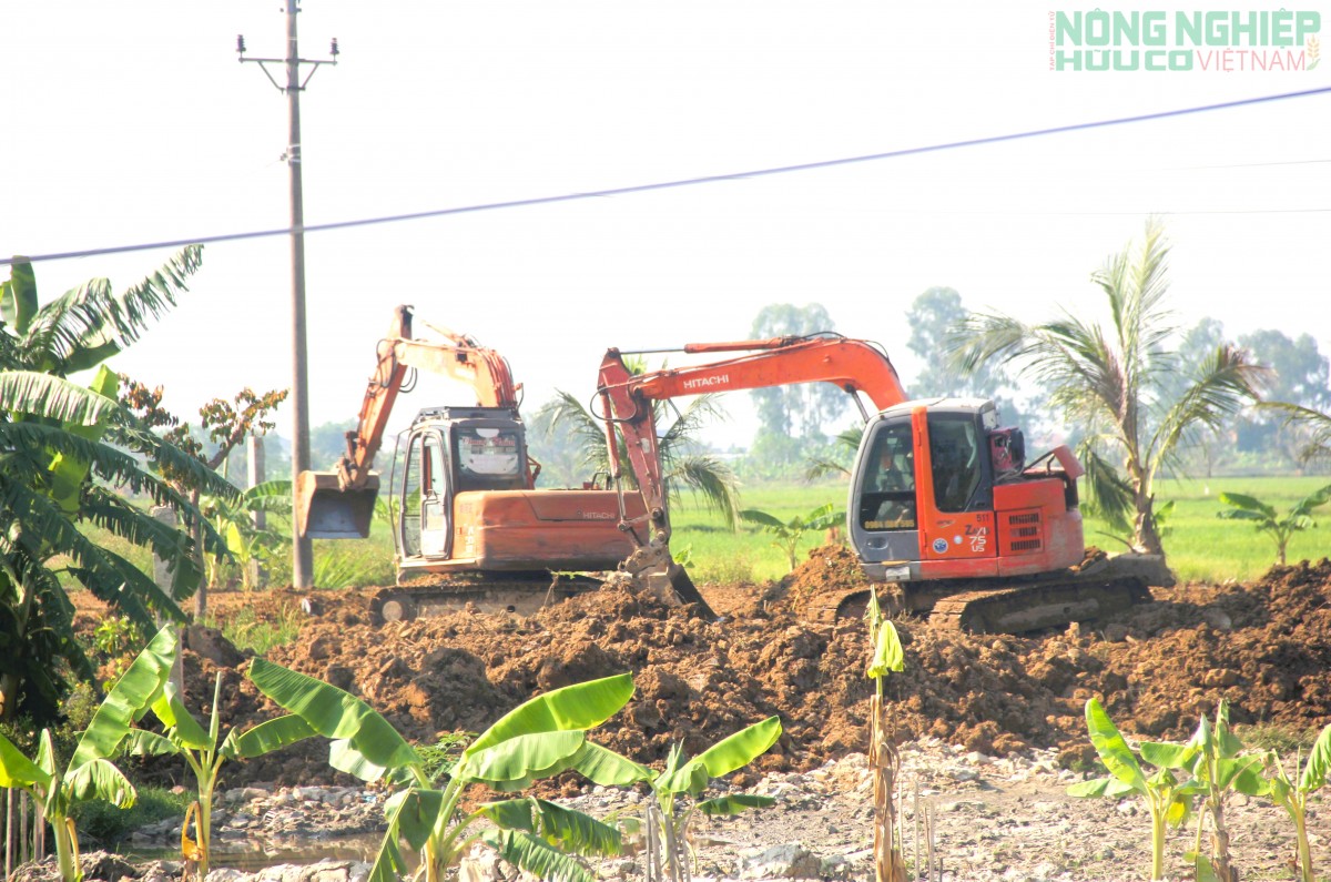 Nghệ An: Xử phạt hộ dân san lấp đất nông nghiệp trái phép 70 triệu đồng
