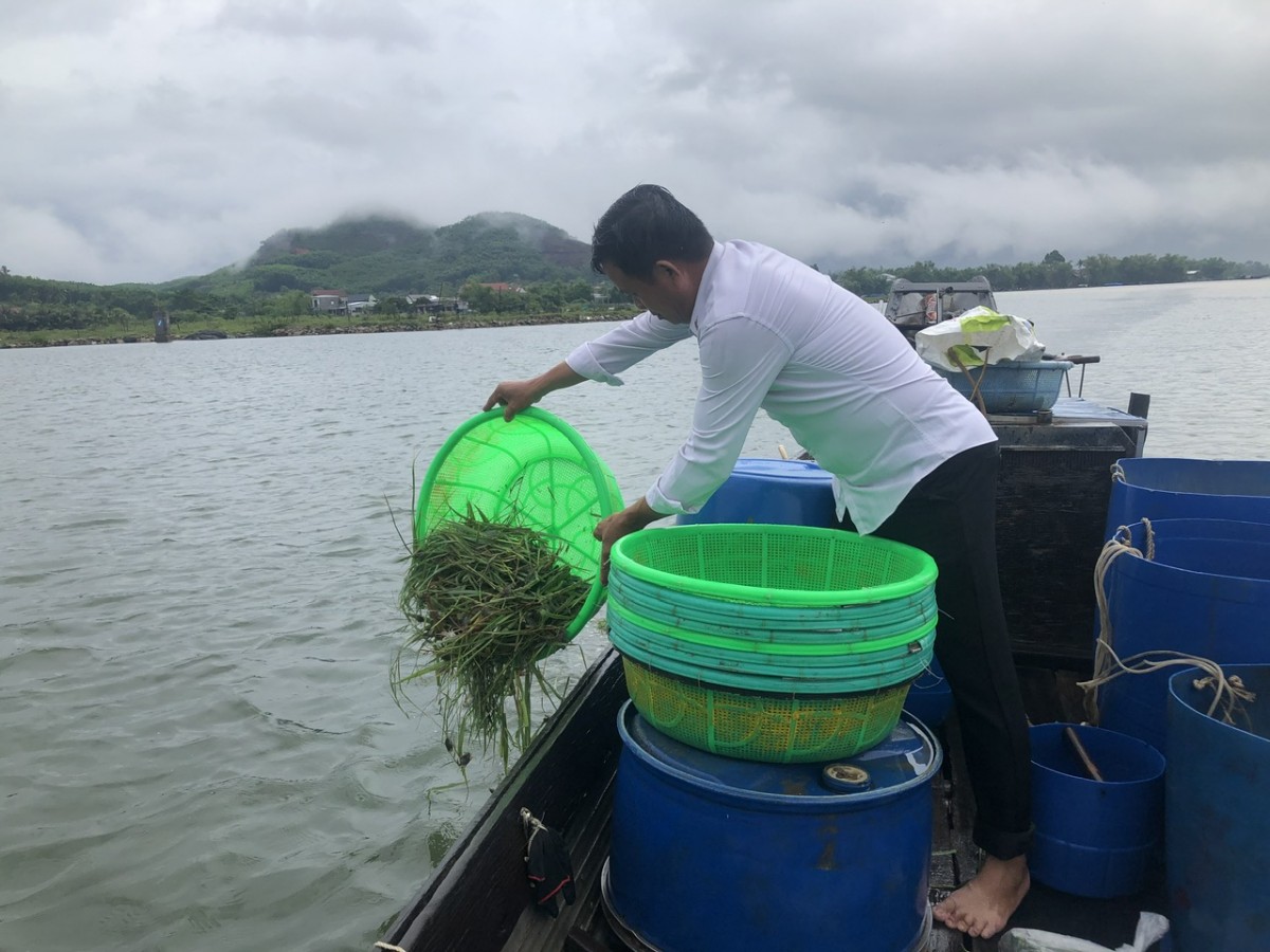 Tp. Huế: Tái tạo nguồn lợi thủy sản, chung tay bảo vệ hệ sinh thái đầm phá