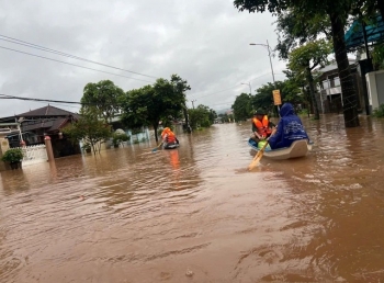 Mưa lớn làm hơn 1.000 ha lúa, hoa màu hư hỏng, gần 1.000 hộ dân phải sơ tán