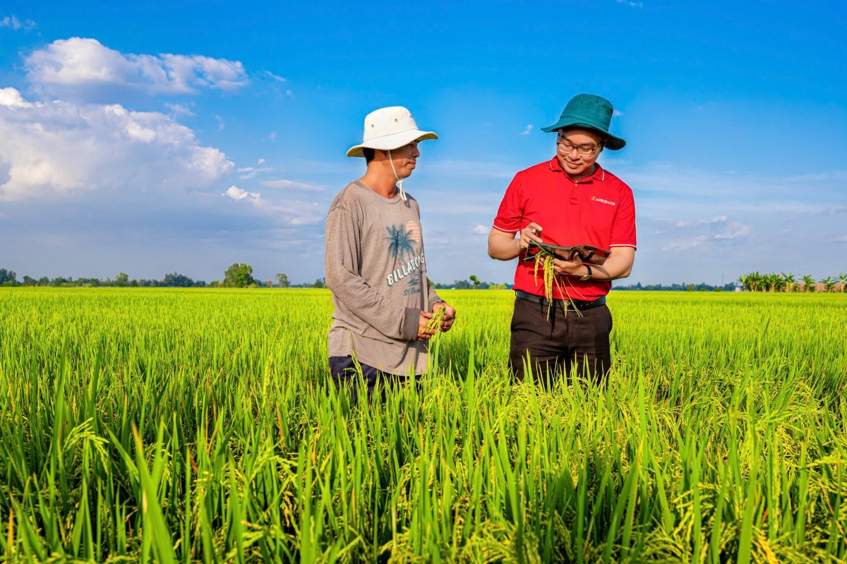 Kết nối nguồn vốn ngân hàng với các chủ thể trong chuỗi sản xuất nông nghiệp hữu cơ được kỳ vọng mở thêm cơ hội phát triển bền vững.