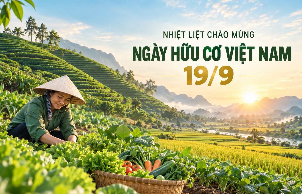 Ngày Hữu cơ Việt Nam 19/9: Hành trình vun đắp niềm tin và giá trị bền vững