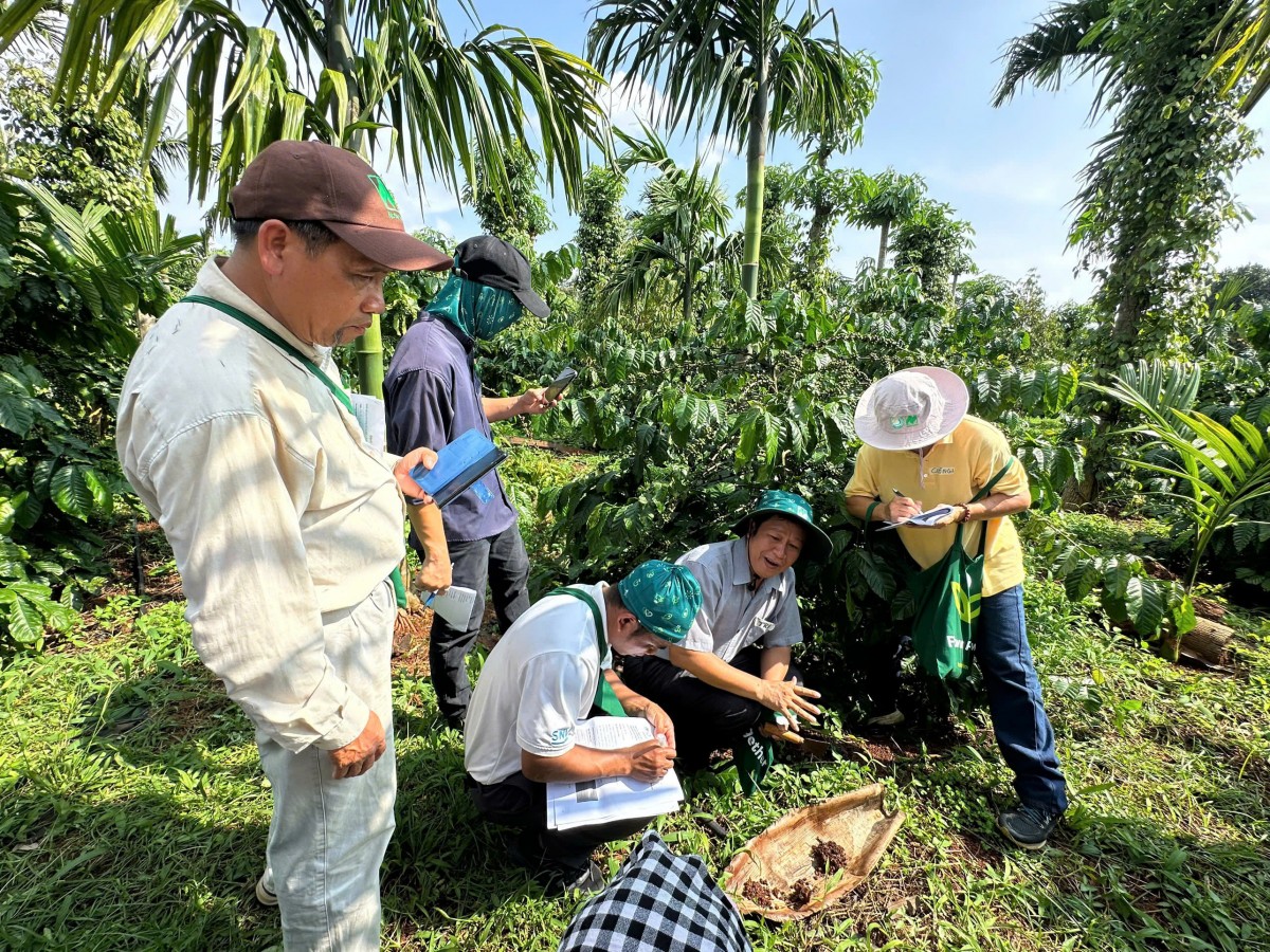 Tập huấn lớp trồng cà phê nông lâm kết hợp và chuyển đổi trang trại theo bộ tiêu chuẩn Hữu cơ Naturland