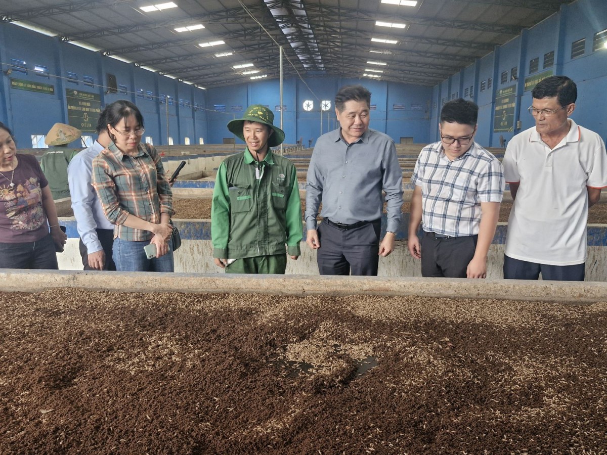Khuyến nông đồng hành, mở hướng chăn nuôi bền vững tại Huế