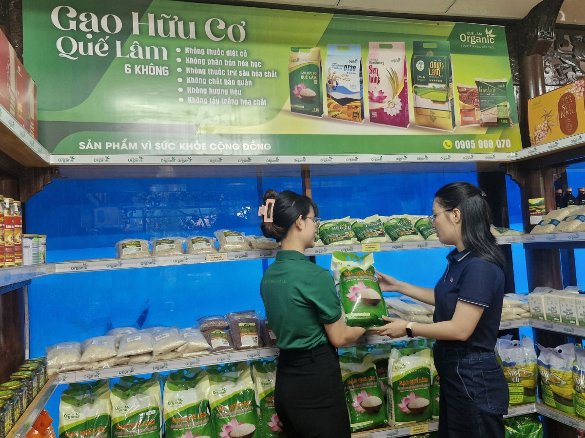 Khuyến nông đồng hành, mở hướng chăn nuôi bền vững tại Huế