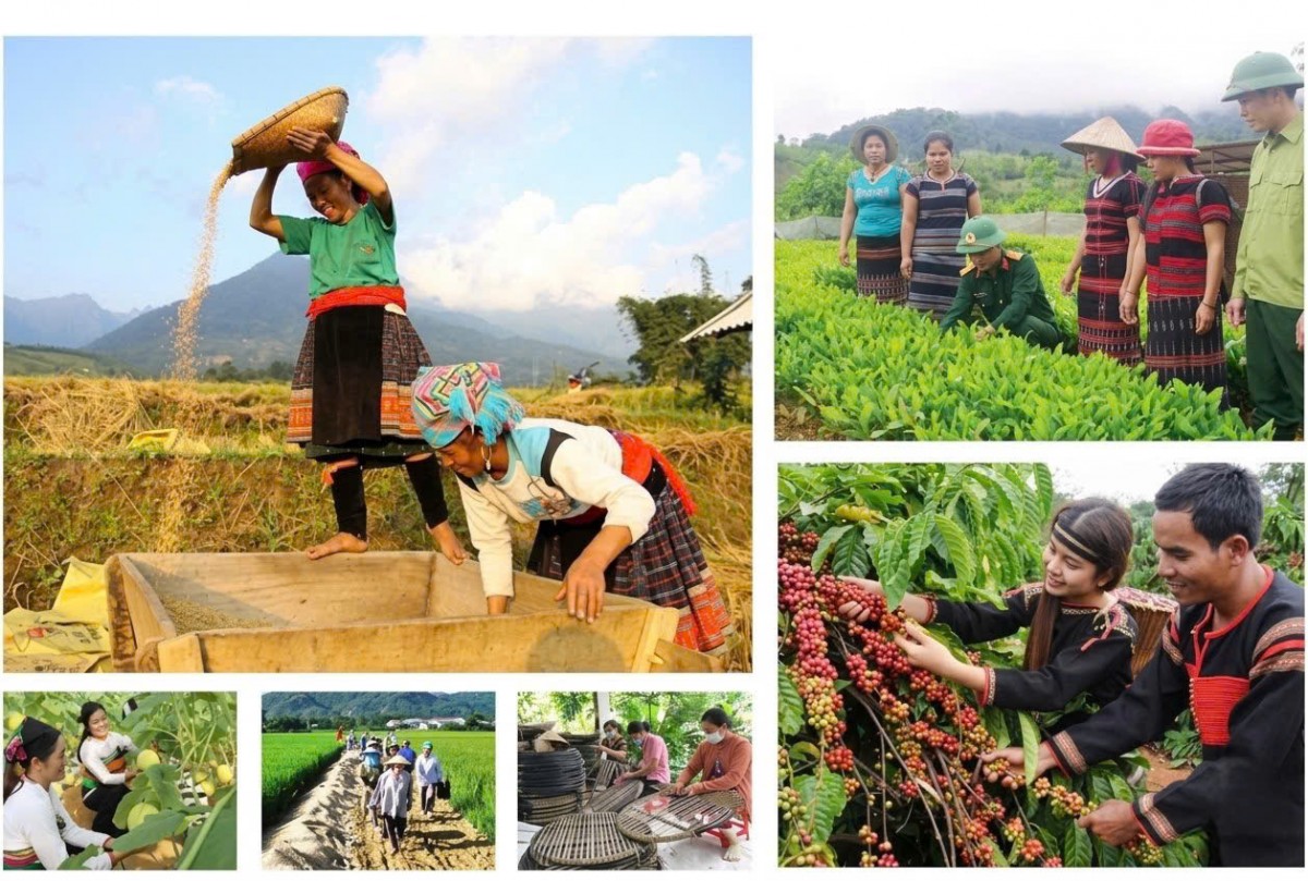 Khẩn trương đẩy nhanh giải ngân các Chương trình mục tiêu quốc gia