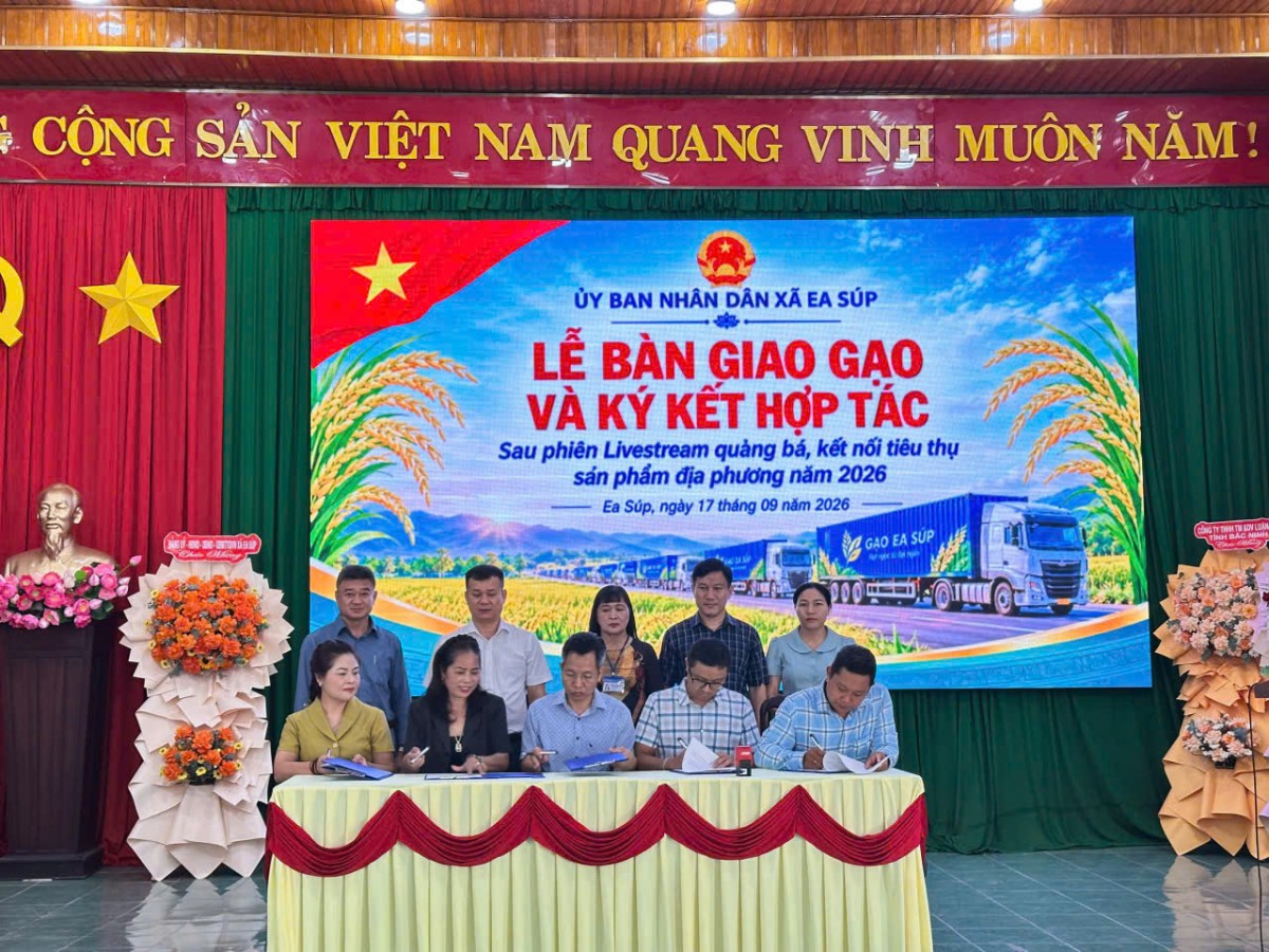 Đắk Lắk: Xã Ea Súp kết nối tiêu thụ khoảng 850 tấn gạo ST24, ST25 sau phiên livestream