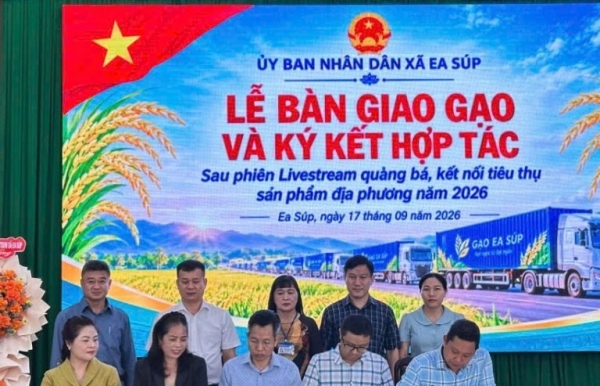 Đắk Lắk: Xã Ea Súp kết nối tiêu thụ khoảng 850 tấn gạo ST24, ST25 sau phiên livestream