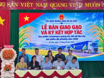 Đắk Lắk: Xã Ea Súp kết nối tiêu thụ khoảng 850 tấn gạo ST24, ST25 sau phiên livestream