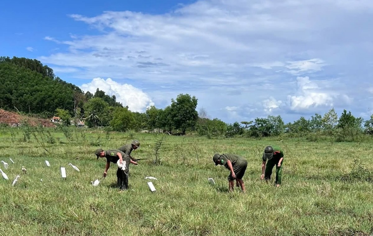 Hãy để mùa chim di cư là mùa của những cánh chim tự do