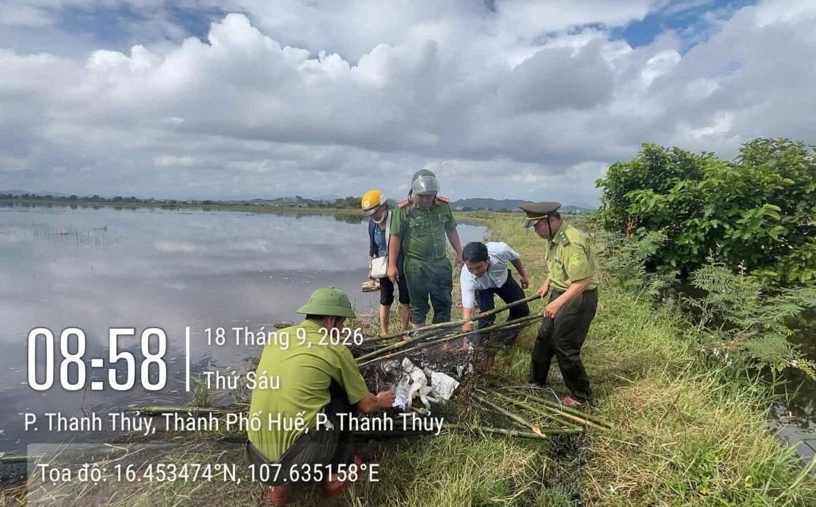 Hãy để mùa chim di cư là mùa của những cánh chim tự do