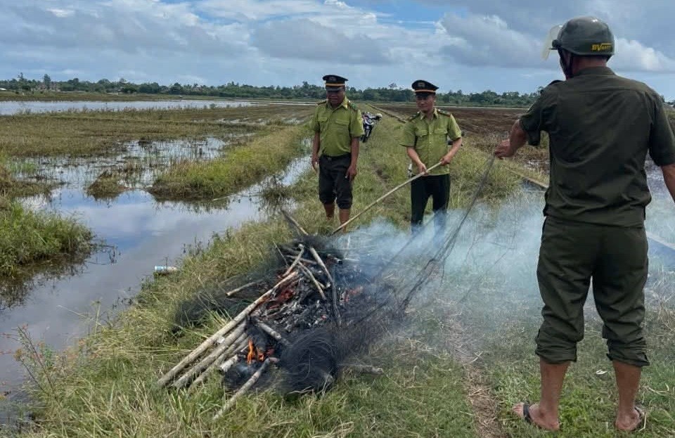 Hãy để mùa chim di cư là mùa của những cánh chim tự do
