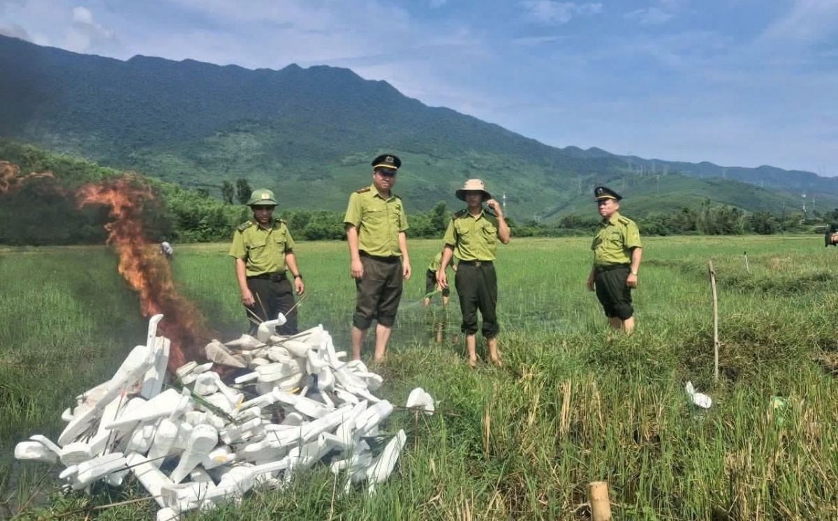 Hãy để mùa chim di cư là mùa của những cánh chim tự do