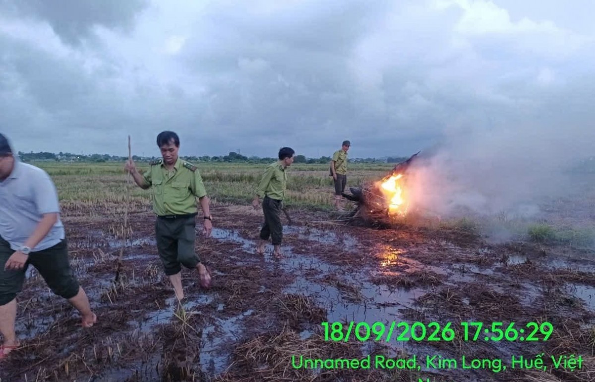 Hãy để mùa chim di cư là mùa của những cánh chim tự do