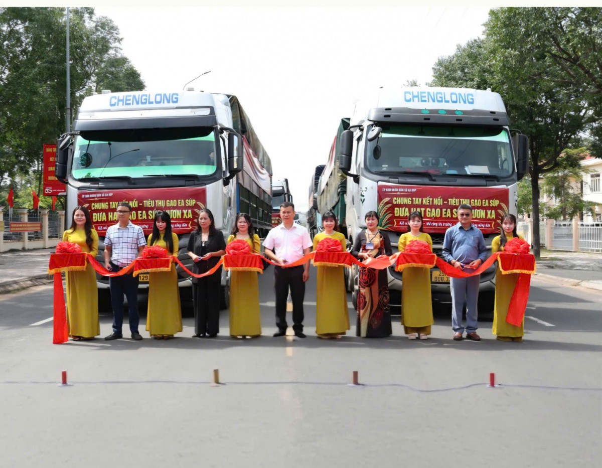 Đắk Lắk: Xã Ea Súp kết nối tiêu thụ khoảng 850 tấn gạo ST24, ST25 sau phiên livestream