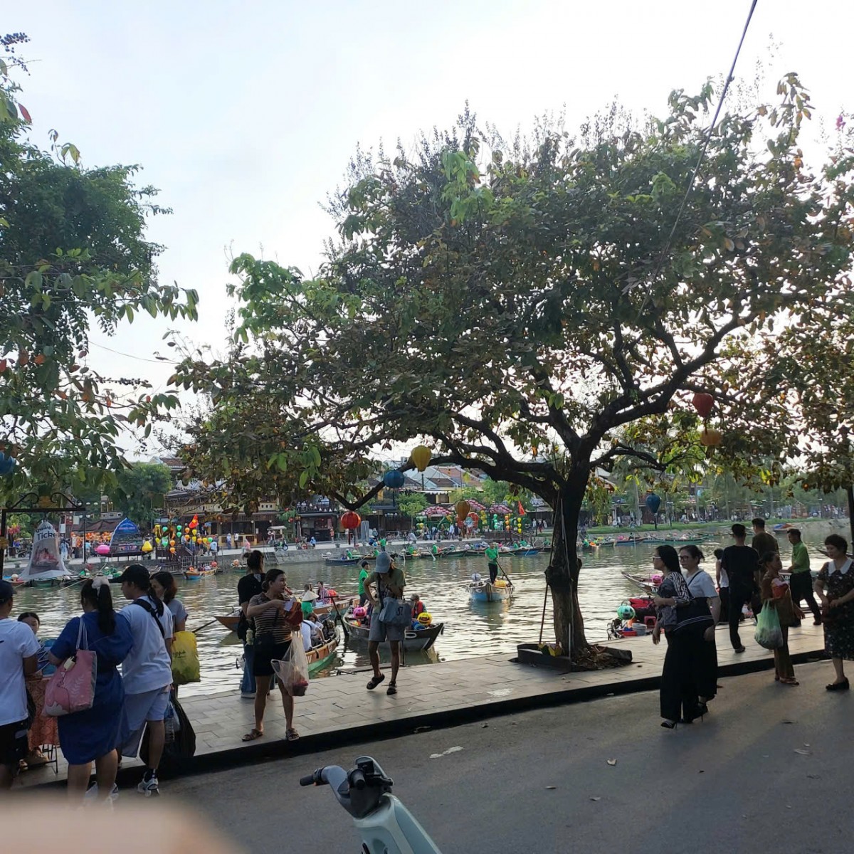 5 trụ cột phát triển kinh tế xanh ở Đà Nẵng
