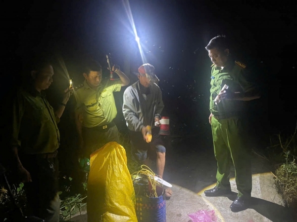 An Giang: Bắt quả tang 2 đối tượng bẫy chim hoang dã bằng lưới tàng hình