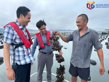Nuôi trồng thủy sản Quảng Ninh tăng 33,6%.