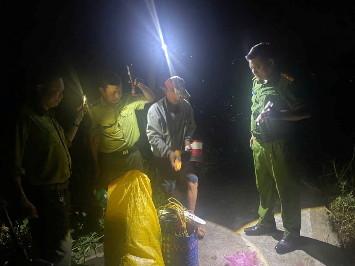 An Giang: Bắt quả tang 2 đối tượng bẫy chim hoang dã bằng lưới tàng hình