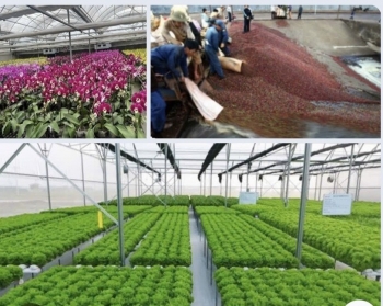 Vận động doanh nghiệp đồng hành phát triển lâu dài - cơ hội mới cho nông nghiệp hữu cơ
