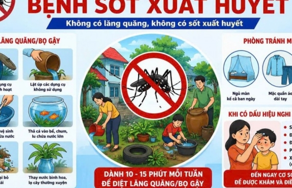 Khánh Hòa tăng cường phòng chống sốt xuất huyết, ngăn dịch bùng phát, lan rộng