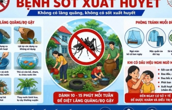 Khánh Hòa tăng cường phòng chống sốt xuất huyết, ngăn dịch bùng phát, lan rộng
