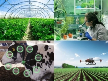 Ban hành tiêu chí dự án xanh, tuần hoàn: Cơ hội mới cho nông nghiệp bền vững