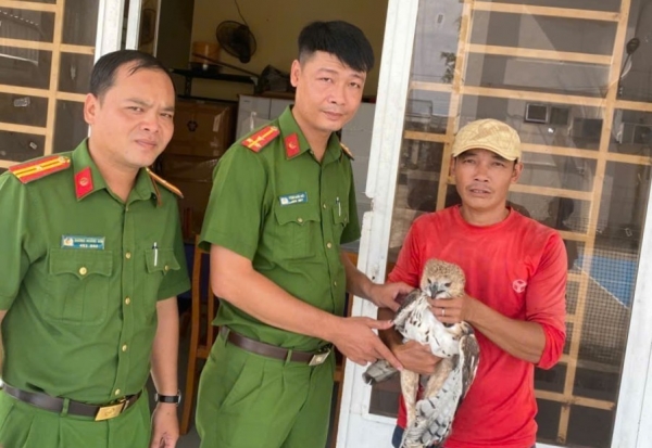 Người dân An Giang chủ động giao nộp chim diều hoa Miến Điện