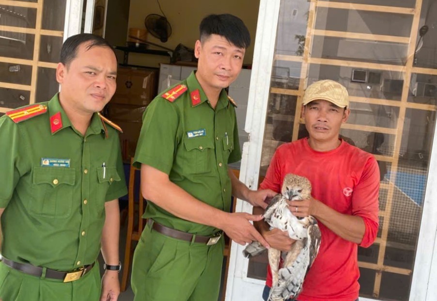 Người dân An Giang chủ động giao nộp chim diều hoa Miến Điện