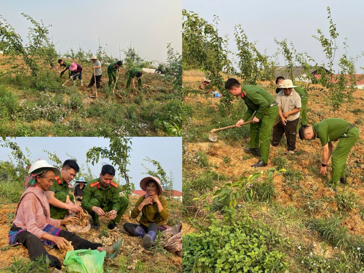 Diễn đàn Bộ Công an – Trung ương Hội Nông dân Việt Nam “Lắng nghe nông dân nói” lần thứ I năm 2026 sẽ tạo thêm kênh đối thoại, tiếp nhận những tâm tư, kiến nghị từ cán bộ, hội viên và nông dân.